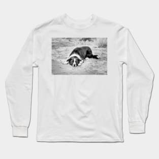 Black and White Border Collie Lying on Ground Long Sleeve T-Shirt